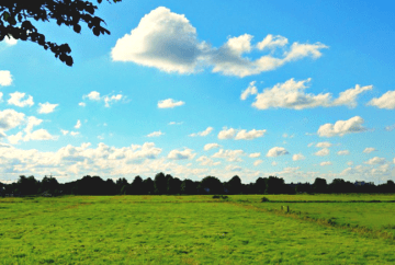 accueil-nord-immo-terrain