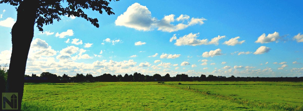 accueil-nord-immo-terrain